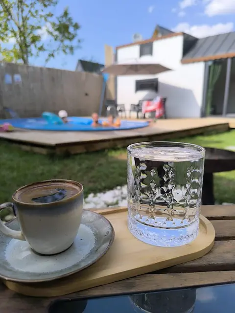 Sesa sapanca
