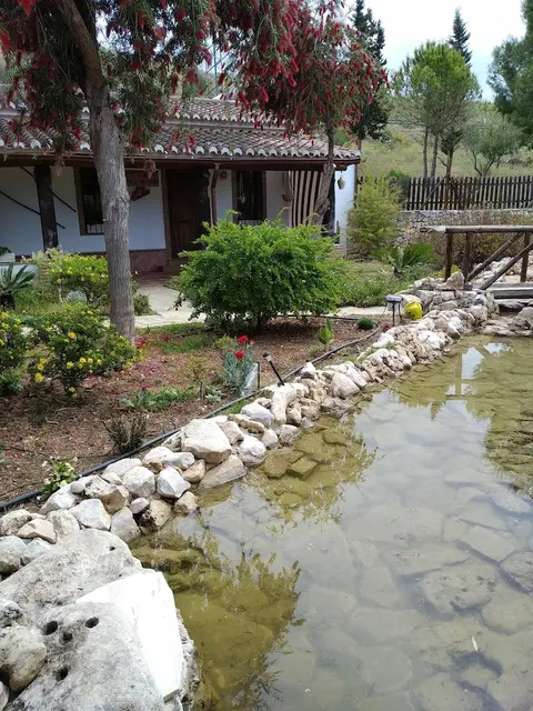 Cortijo Veracruz