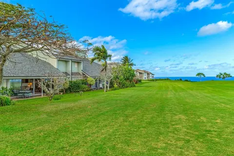 Kamahana 16