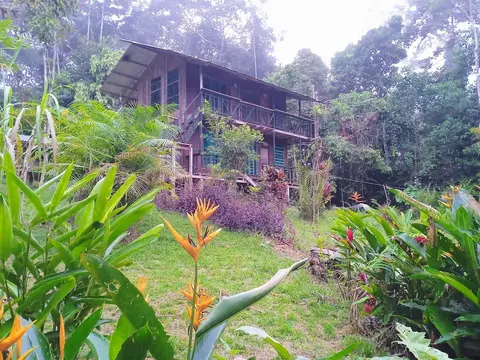 Cabañas Ecológicas Mu'ü