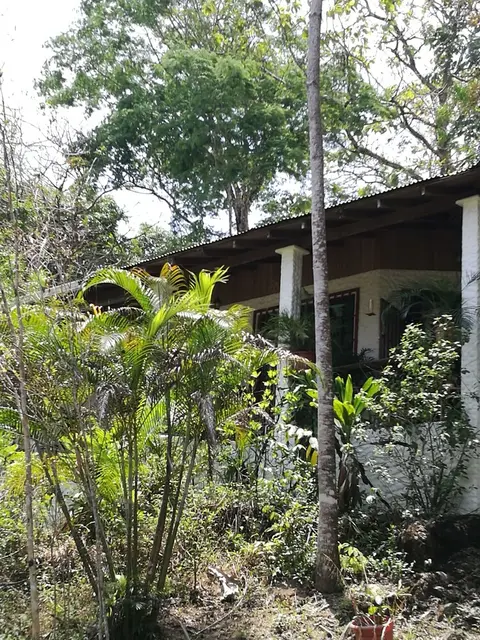 Manuel Antonio Comfort Casa Macaow