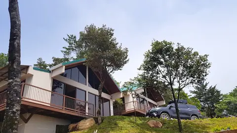 Green Forest Vacations Homes