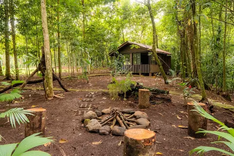 Natural Green Lodge