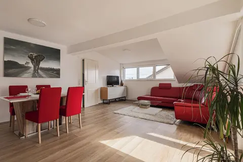 Ski Apartment Frigo Pohorje 1