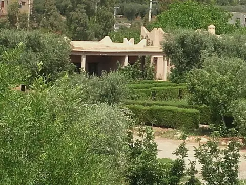 Tatfi De L'atlas