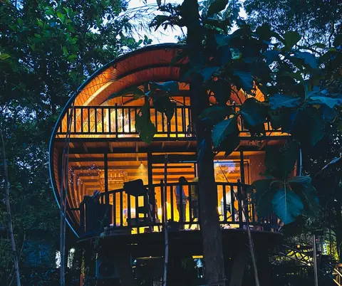 Woodland Sanctuary