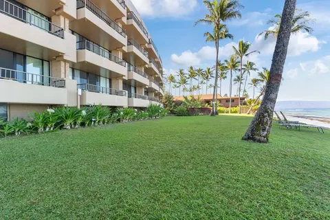 Paki Maui 416