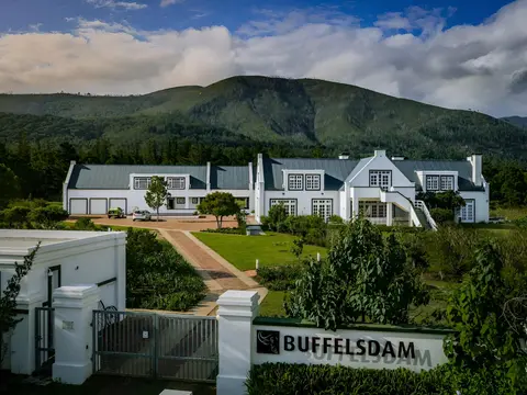 Buffelsdam
