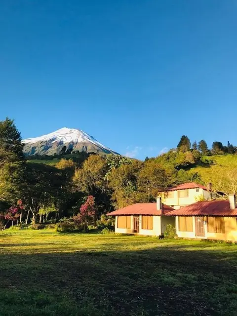 Rutun Orquídeas