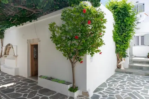 Pelican Paros