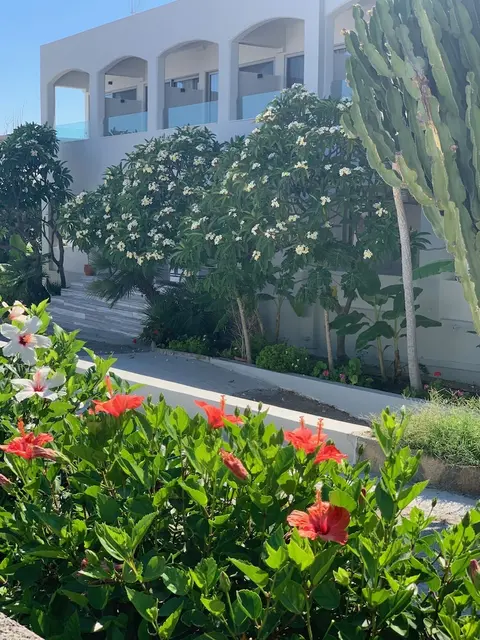Pals Studios Pefkos