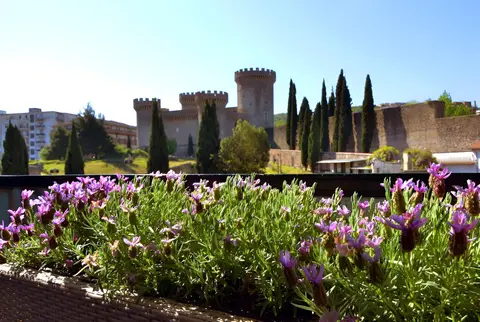 B&B Il Castello