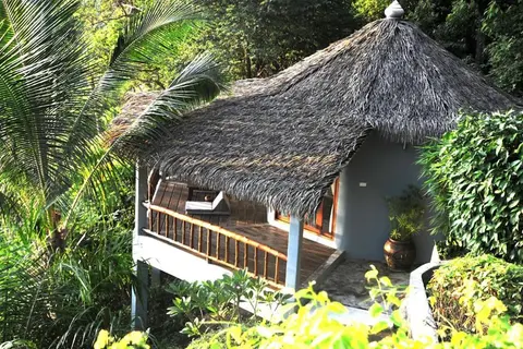 The Jungle Club