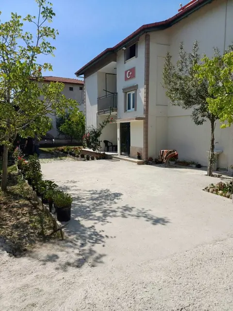 Olive House