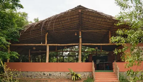 Forest Lodge Eco Camp