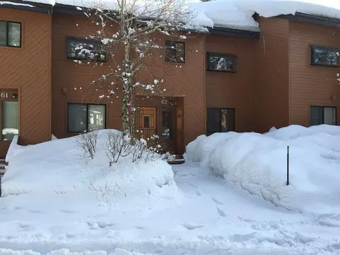 Snowflower 62