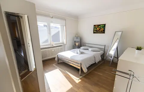 Bright 1BR Apartment City Center