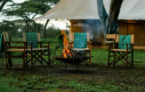 Gnu Ndutu Camp