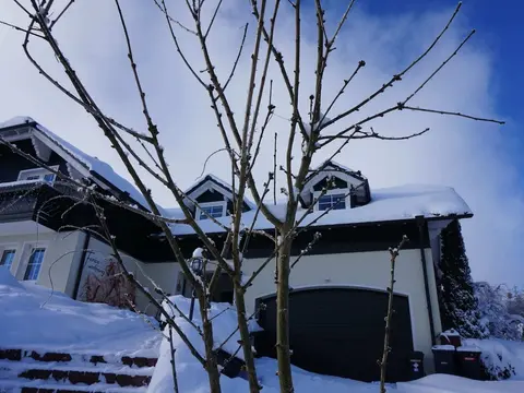 Fantastic Apartment in Frauenwald near Forest