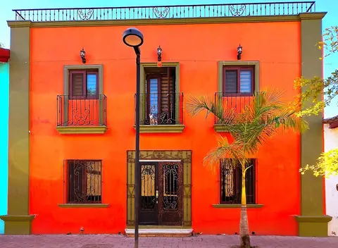 Casa del Arbol