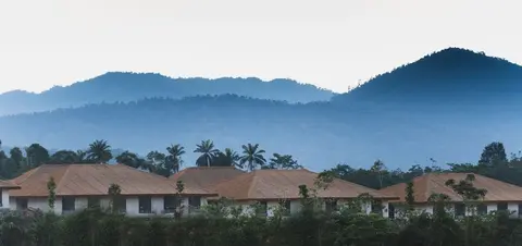 Monkeys Canopy Resort