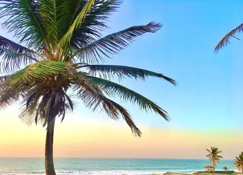 Fajara Resort