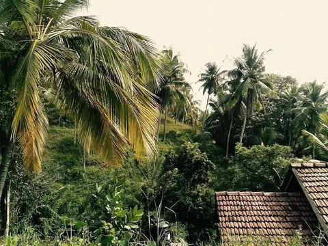 Hilltop Bungalow
