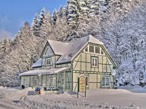 Deluxe Holiday Home in Brilon-Wald near Ski Area