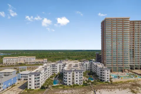 Palm Beach C23