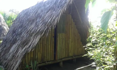 Treasure Isle Guesthouse - Hostel