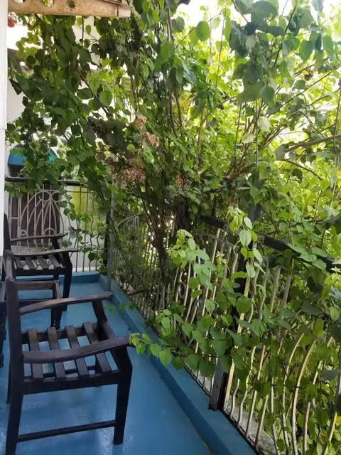 WARERE TOWN HOUSE