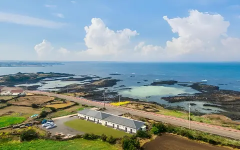 Jeju If you Meet a Dolphin in Jeju