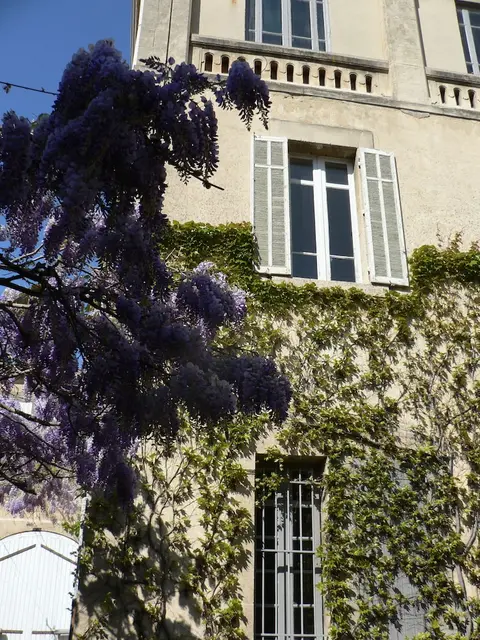 Chambres d'hôtes Maison Auguste
