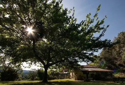 Casa Paola