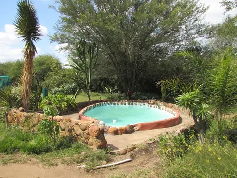 Romantic Canvas pad on River, Share Shower With Monkeys and Listen to the Lions