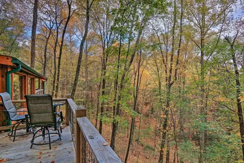 Fireplace & Foliage: Quaint Blue Ridge Cabin!