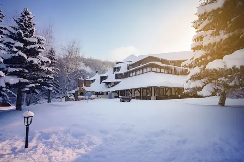 Hotel Junior