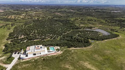 La Glycine in Castro Marim