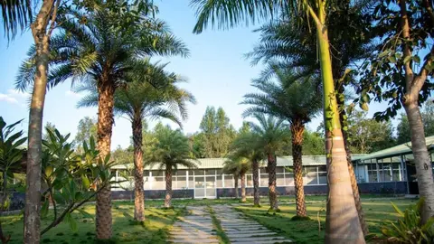 Lago Palm Resort