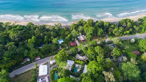 Le Cameleon Puerto Viejo
