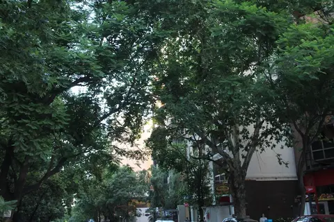 Boulevard Illia 11C