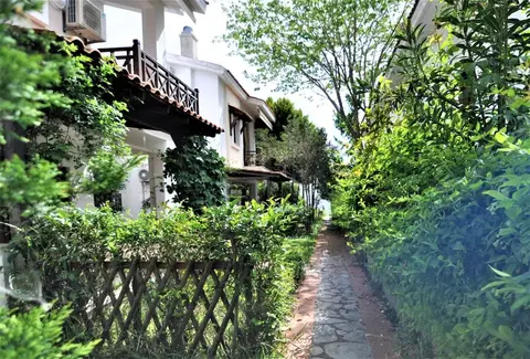 Zennova 23 Nikiti Family Green Nest