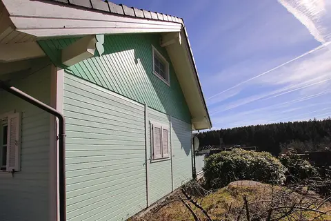 Ferienhaus , Tanne