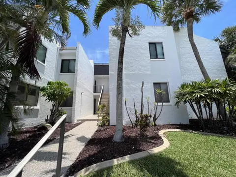 Dolphin s Delight in Manasota Key