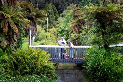 Ripple Rotorua