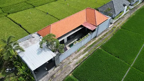 Villa Clove Cemagi