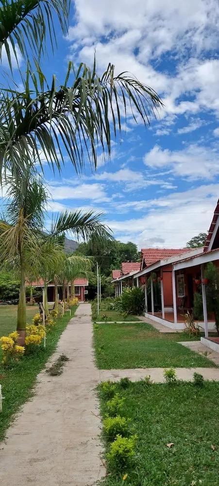 Mango Tree Farm