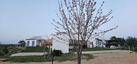 Quinta da Bornacha