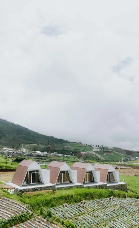 Dieng Khatulistiwa By Travelink