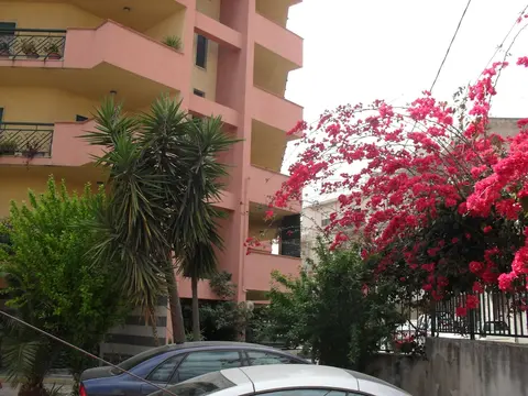 B&B Agave